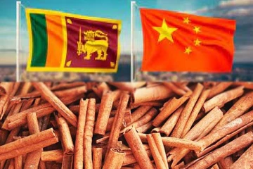 அடுத்த ஆண்டு முதல் சீனாவிற்கு ஏற்றுமதி செய்யப்படவுள்ள கறுவாப்பட்டை