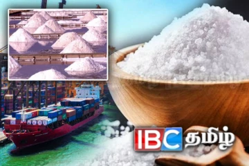 உப்பு இறக்குமதி தொடர்பில் வெளியான அதிர்ச்சி தகவல்