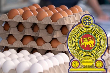 இறக்குமதி முட்டை சில்லறை விற்பனைக்கென வெளியான அறிக்கை தவறானது! விவசாய அமைச்சு