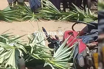 මන්නාරමේ වෙඩි තැබීමක්..දෙදෙනෙකු ජීවිතක්ෂයට..