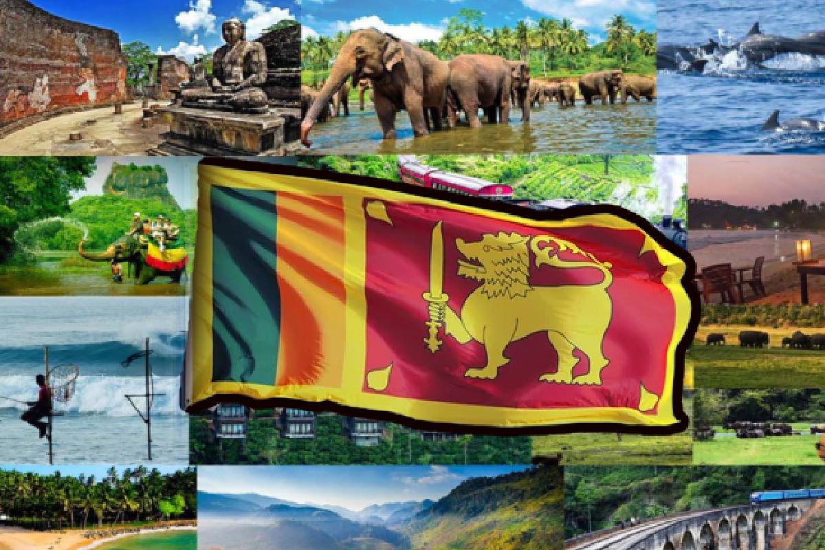 மீண்டும் மைல்கல் சாதனை படைத்த இலங்கை சுற்றுலாத்துறை | Sri Lanka Tourism Sector Achieves Record