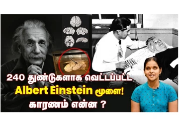 240 துண்டுகளாக வெட்டப்பட்ட Albert Einstein மூளை...! - காரணம் என்ன?