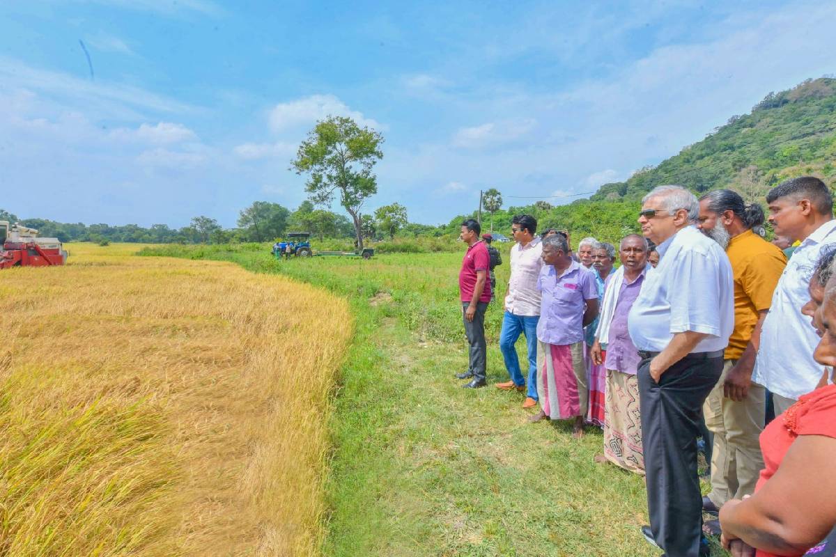 மயிலத்தமடு காணி விவகாரத்தில் அரசின் நகர்வு! எழுந்துள்ள சந்தேகம்.. | Is Government Trying Communal Nilandhan Question மயிலத்தமடு காணி விவகாரத்தில் அரசின் நகர்வு! எழுந்துள்ள சந்தேகம்.. | Is Government Trying Communal Nilandhan Question