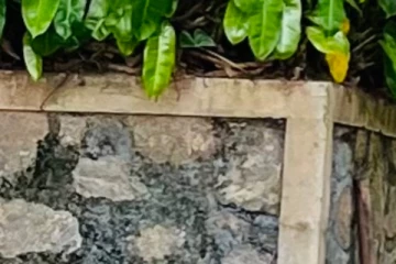 බිරිද හැරගොස් සිටි සෙබලාට බෝම්බයක් පුපුරවාගෙන සිදු කරගත් දේ..