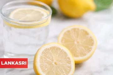 நீண்ட ஆயுளோடு வாழவும் எலுமிச்சை தண்ணீர்! எப்படி எப்போது குடிக்க வேண்டும் ?