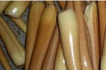 பல மருத்துவகுணங்கள் கொண்ட பனங்கிழங்கை சாப்பிடுவதால் கிடைக்கும் அற்புத பலன்கள்