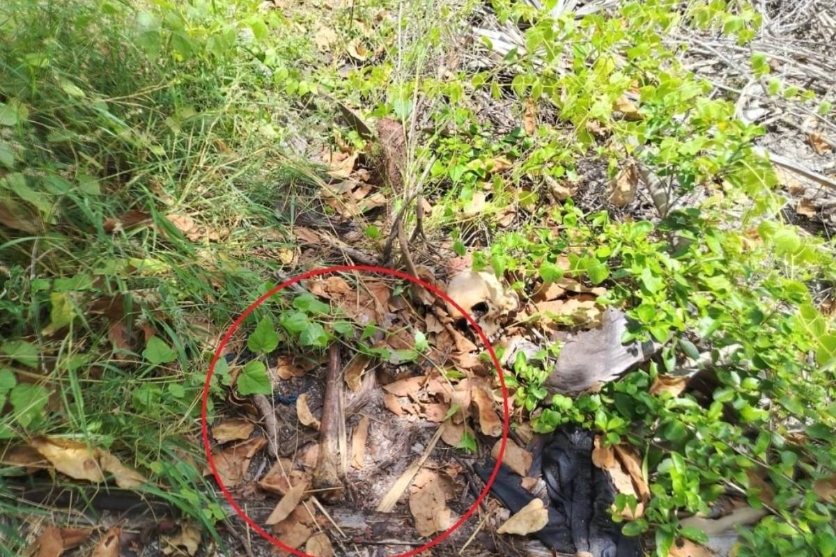 யாழில் நேர்ந்த மர்ம சம்பவம் ; தனியார் காணியிலிருந்து மனித எலும்புகள் மீட்பு | Human Bones Recovered From Private Land In Jaffna யாழில் நேர்ந்த மர்ம சம்பவம் ; தனியார் காணியிலிருந்து மனித எலும்புகள் மீட்பு | Human Bones Recovered From Private Land In Jaffna