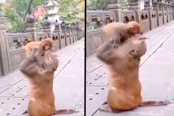 இது தாண்டா அம்மா பாசம்.. கண்ணீர் மல்க வெளியான காட்சி!