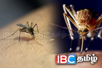 டெங்கு ஒழிப்புக்கான இலகுப்படுத்தப்பட்ட ஆரம்ப செயல்திட்டம் அறிமுகம்