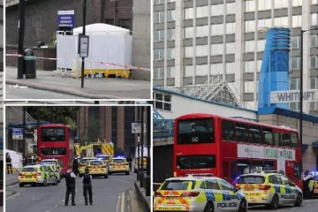 லண்டன் சாலையில் பள்ளிக்கு சென்ற சிறுமிக்கு கத்திக்குத்து: தப்பியோடிய டீன் ஏஜ் சிறுவன் கைது