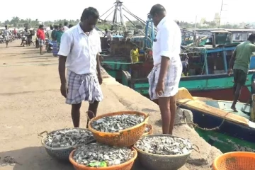 வழக்கத்தை விட உள்வாங்கிய ராமேஸ்வரம் மீன்பிடித் துறைமுக கடல்: கடற்தொழிலாளர்கள் மத்தியில் அச்ச நிலை