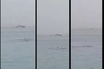 கடலில் குளித்துக் கொண்டிருந்த நபரை கொன்று தின்ற திமிங்கலம் - அதிர்ச்சி வீடியோ