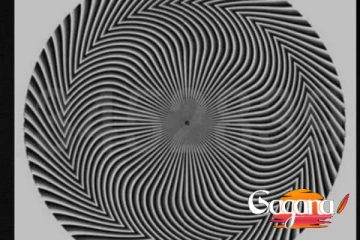 Optical illusion : දර්ශනය පැහැදිලි නම් ඉලක්කම් මොනවාද?