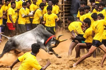 பெரும் எதிர்பார்ப்பை ஏற்டுத்திய அலங்காநல்லூர் ஜல்லிக்கட்டு 2022 - நேரலை