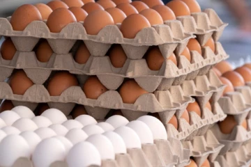 உள்ளூர் முட்டை வியாபாரிகளுக்கு அரசாங்கம் விடுத்துள்ள விசேட அறிவிப்பு