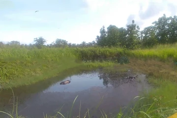 තවත් අභිරහස් ඝාතනයක්.