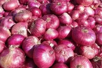 மனித பாவனைக்கு உதவாத ஒரு தொகை பெரிய வெங்காயம் மீட்பு