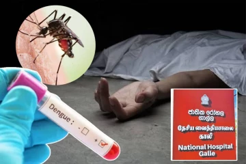 இலங்கையில் டெங்கு நோய் தீவிரம் : நான்கு வயது சிறுமி உயிரிழப்பு!