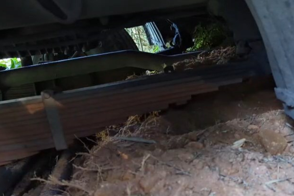 சாரதியின் துணிச்சலான முடிவால் காப்பற்றப்பட்ட 80 பயணிகளின் உயிர்! | Driver Bravely Saves The Lives Of 80 Passengers