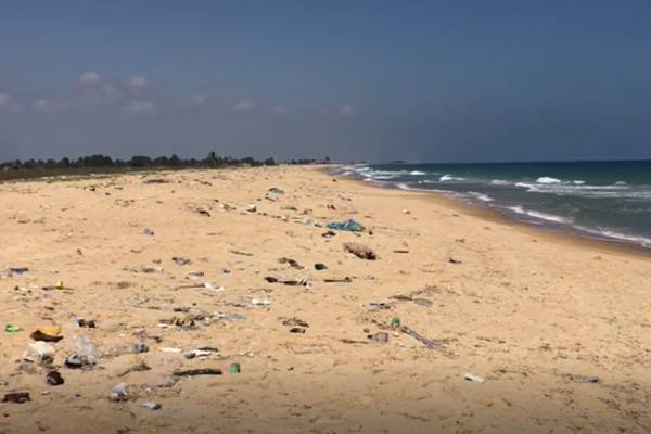 வடமராட்சி கிழக்கு கடலில் இறங்கி நீராட வேண்டாம்! தவிசாளர் கோரிக்கை | No One Should Go Swimming In The North Sea