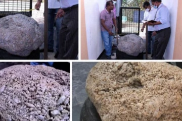 இலங்கையில் கண்டுபிடிக்கப்பட்ட உலகின் மிகப்பெரிய இரத்தின கல் தொடர்பில் இராஜாங்க அமைச்சர் வெளியிட்டுள்ள தகவல்!