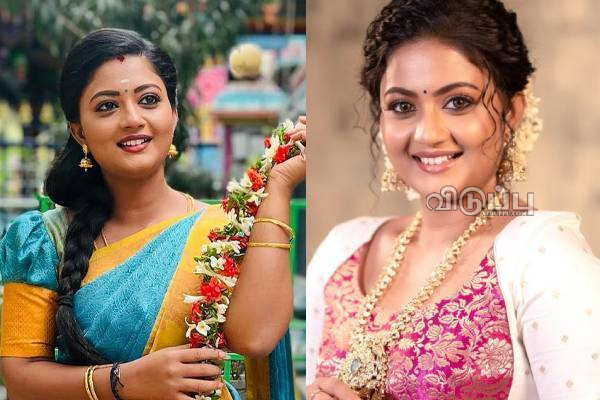தகுதி குறித்து சிறகடிக்க ஆசை நாயகி கோமதி ப்ரியா.. பரபரப்பு வீடியோ | Serial Actress Video On Instagram