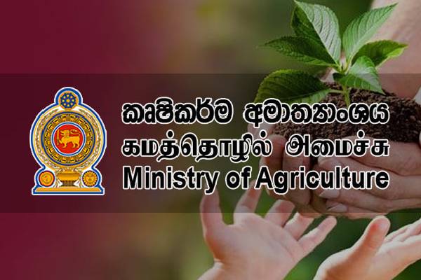 அனைத்து ஊழியர்களின் விடுமுறைகளும் இரத்து! | Holidays For All Employees Canceled