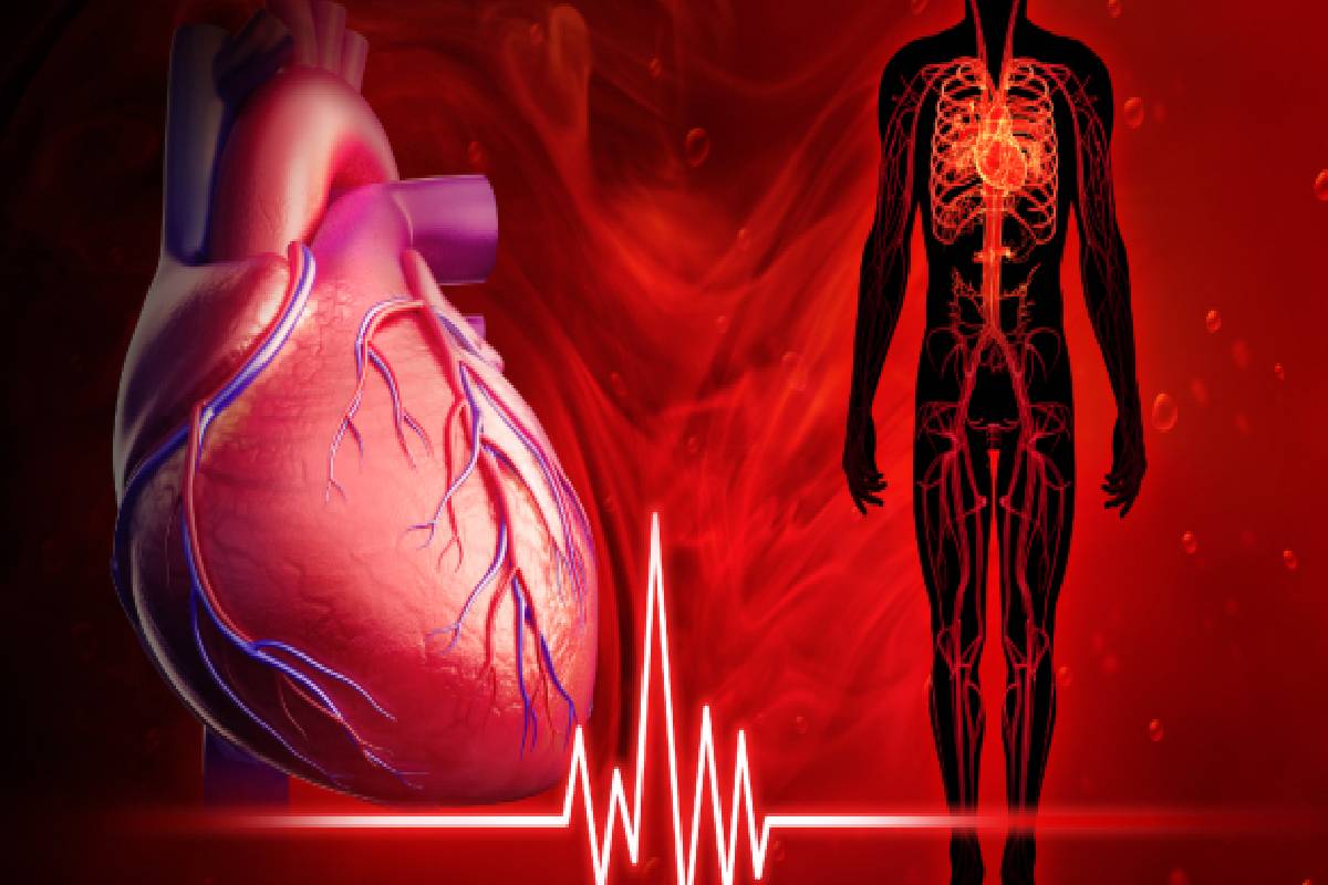 உயிரை பறிக்கும் இதய நோய்கள்: இந்த அறிகுறி இருக்கா? இந்த உணவுகளை தவிர்க்காதீர்! | Heart Disease Causes Which Foods Prevent Naturally