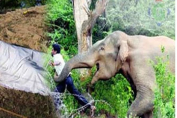 யானையின் தாக்குதலினால் நான்கு பிள்ளைகளின் தந்தை மரணம்