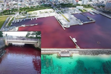 ஜப்பானில் திடீரென ரத்த நிறத்தில் மாறிய நதி நீர்: ஷாக்கான மக்கள்