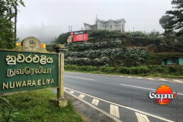 ඉදිරි දින දෙක තුළදී නුවරඑළිය ගැන සුබ ආරංචියක්