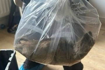 ஆஸ்திரேலியாவில் அச்சத்தை ஏற்படுத்திய எலி; நாயின் அளவு பெரிது!