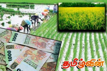 விவசாய உள்ளீடுகளுக்கான விலையினை குறைக்க வேண்டும்! விடுக்கப்பட்டுள்ள கோரிக்கை