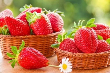 ஸ்ட்ராபெர்ரி பழங்கள் மூலமாக பரவும் நோய்! கனடா சுகாதாரத்துறை விடுத்துள்ள எச்சரிக்கை