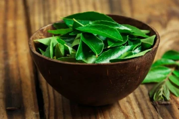 காலை வெறும் வயிற்றில் 15 கறிவேப்பிலை! தொப்பை கடகடவென குறைஞ்சிடுமாம்