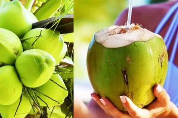 கோடைக்காலத்தில் சுகரை ஏற விட்டு வேடிக்கை பார்க்கும் இளநீர்! எப்படி தெரியுமா?