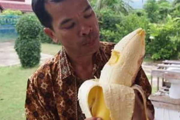 ලෝකයේ විශාලතම කෙසෙල් ගස(PHOTOS) | Biggest Banana Tree In The World ලෝකයේ විශාලතම කෙසෙල් ගස(PHOTOS) | Biggest Banana Tree In The World