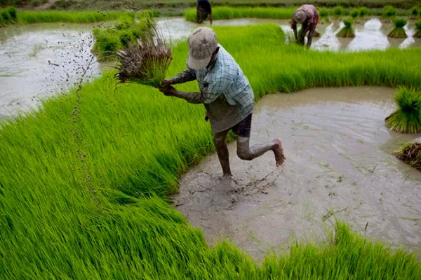 விவசாயிகளுக்கு மகிழ்ச்சித் தகவல்! | Good News For Farmers