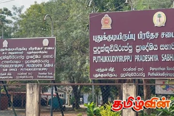 போக்குவரத்திற்கு இடையூறான கால்நடைகள் மடக்கிப்பிடிப்பு