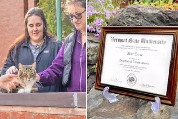 அமெரிக்க பல்கலையில் பூனைக்கு வழங்கப்பட்ட கெளரவ கலாநிதி பட்டம்