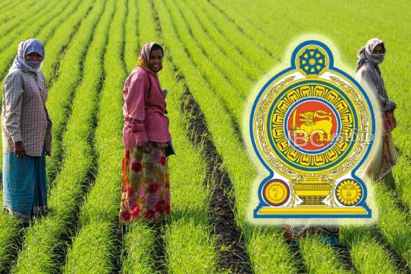 விவசாயிகளுக்கு கிடைக்கவுள்ள நன்மை : ஜனாதிபதி பிறப்பித்த உத்தரவு | Happy News For Farmers Big Relief From Gov