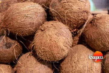 පොල් මිල අහසට එළවලුත් ගිනි ගණන් මෙන්න