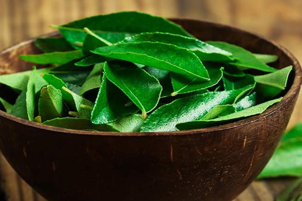 சர்க்கரை நோயாளி தினமும் ஒரு கப் கறிவேப்பிலை டீ குடிப்பதால் என்னென்ன மாற்றங்கள் நிகழும்...5 நெடியில் டீ ரெடி! | Drink Curry Leaf Tea Daily In Empty Stomach