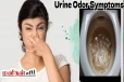 சிறுநீரில் துர்நாற்றம் வீசுகிறதா? இது சாதாரணம் அல்ல இந்த நோய்க்கான அறிகுறி