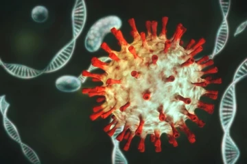 உலகின் அதிபயங்கர திடீர் மாற்றம் பெற்ற புதிய கொரோனா வைரஸ்... அச்சத்தை ஏற்படுத்தியுள்ள கண்டுபிடிப்பு