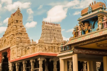 திருச்செந்தூர் முருகன் கோவிலில் நாளை ஆவணி திருவிழா தேரோட்டம்