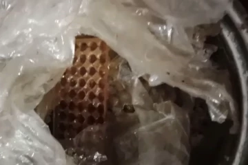 முல்லைத்தீவு பகுதியில் மீட்கப்பட்ட துப்பாக்கி ரவைகள் (Photo)