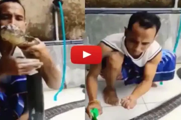 ஷாம்பூ போட்டு பாம்பை குளிப்பாட்டும் நபர்! தீயாய் பரவும் வைரல் வீடியோ
