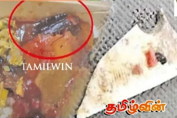 அரச நிறுவனம் ஒன்றில் வழங்கப்படும் உணவில் கரப்பான்பூச்சி - அதிர்ச்சியில் ஊழியர்கள்