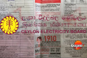 ලයිට් බිල ගැන අන්තිම තීරණය තව සුළු මොහොතකින්